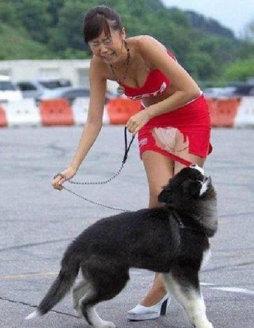 radom-funny-image01