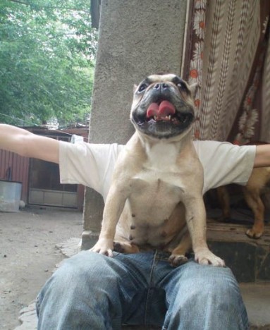 random-funny-image07