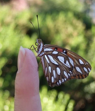 small-cute-animal17