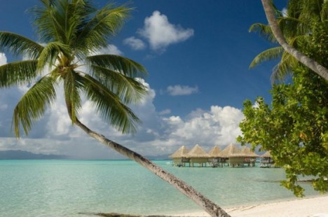 tahiti01