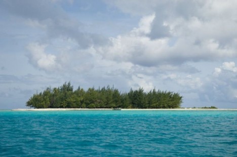tahiti13