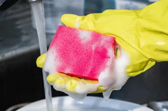 kitchen sponge
