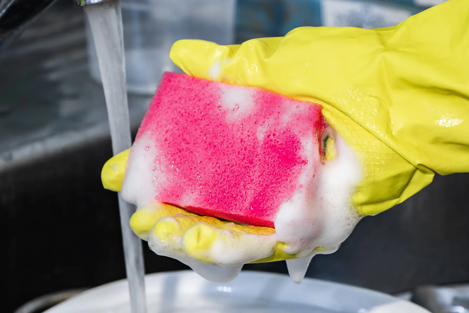 kitchen sponge