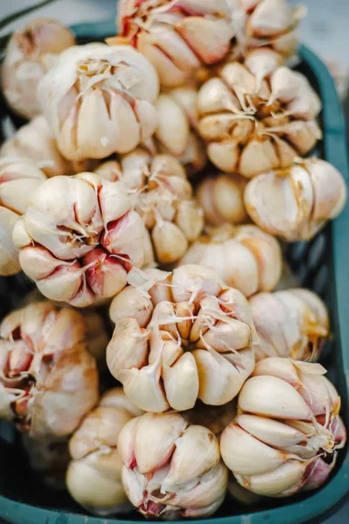 garlic in aplastic basket