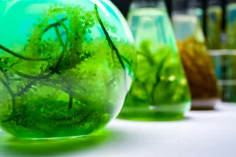 sealed and unsealed jarrariums