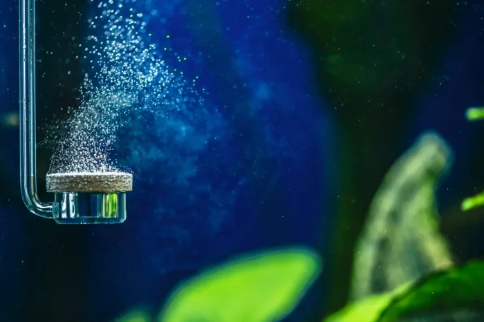 air bubbles from aquarium filter