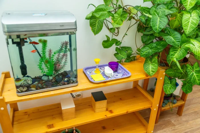 aquarium setup with submerged filter