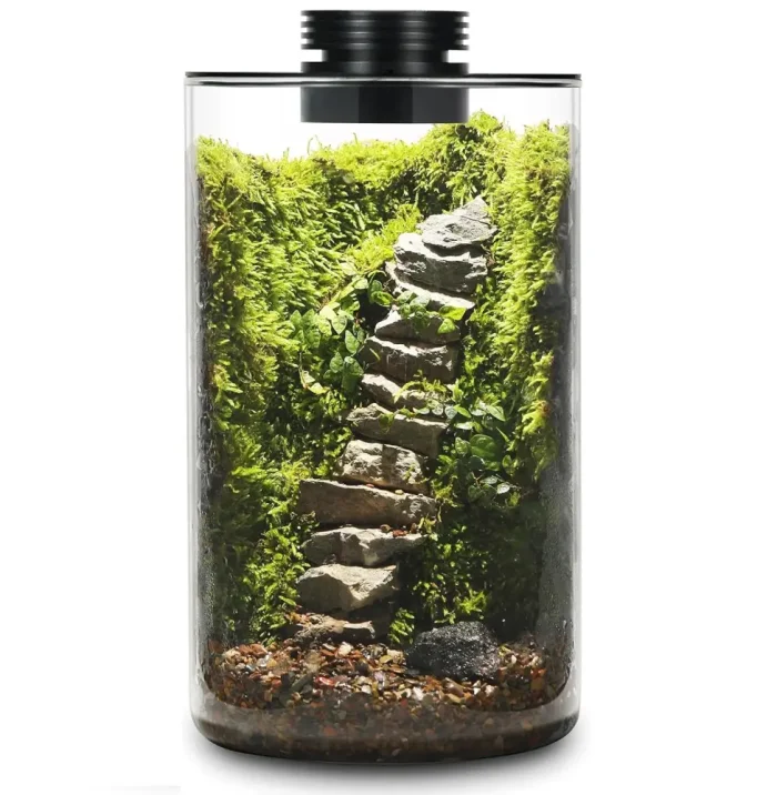Jarrarium with light