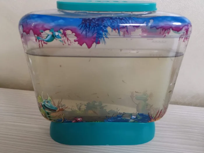 My Aqua Dragons with plenty of hatched eggs